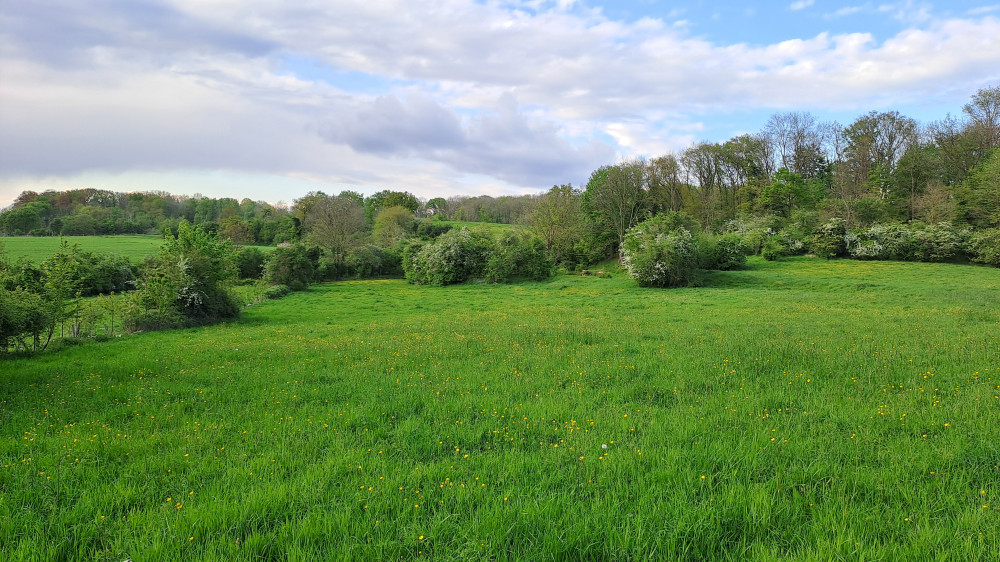 caestert grasland 1