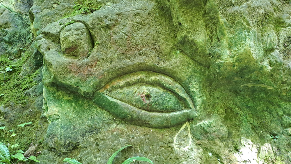 caestert oog