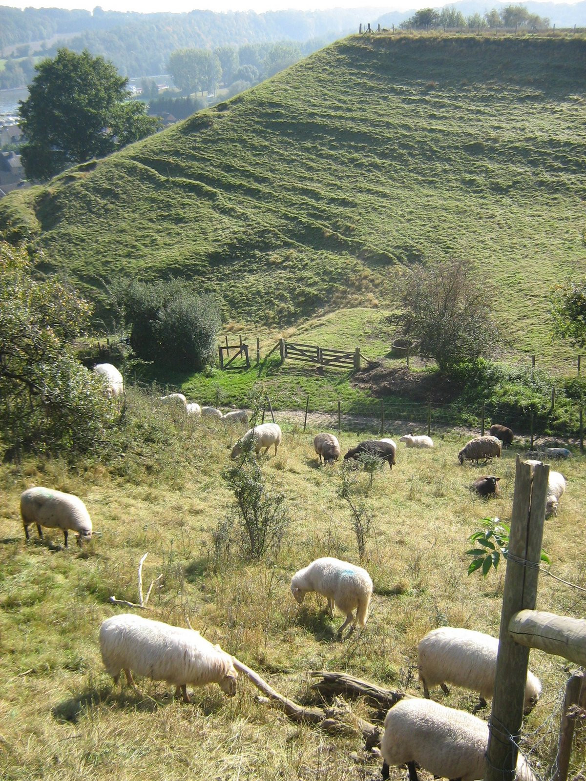Tiendeberg geiten